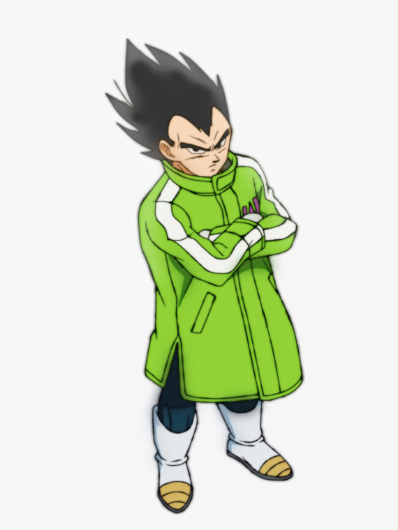 Vegeta Dragon Ball Z Sab Jacket